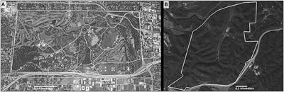 Mortality in Three-Toed Box Turtles (Terrapene mexicana triunguis) at Two Sites in Missouri